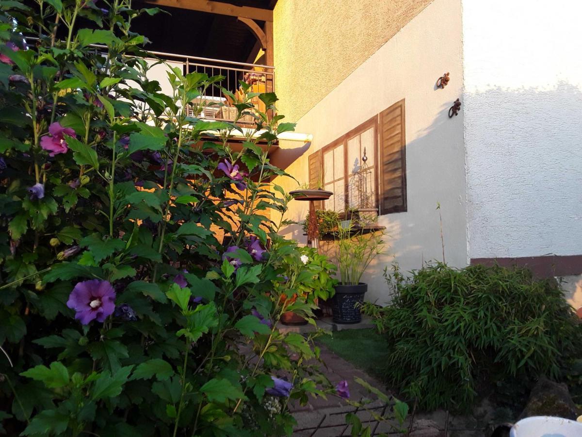 Haus Sonnenblick Apartment Momlingen Exterior foto
